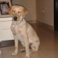DUNA CON SEIS MESES